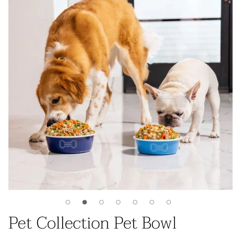 NEW Le Creuset Pet Bowl Collection Light Blue